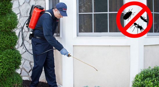 Üçyol Bit İlaçlama böcek ilaçlama ve haşere kontrolü — ilaclama-tr.com